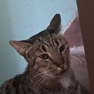 Meet your Posher, Colton